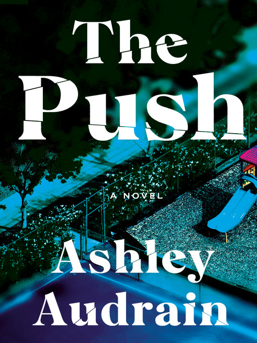 Title details for The Push by Ashley Audrain - Wait list